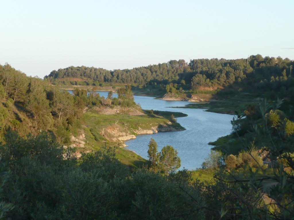 Casa Vella Del Panta Pension Riudecanyes Buitenkant foto